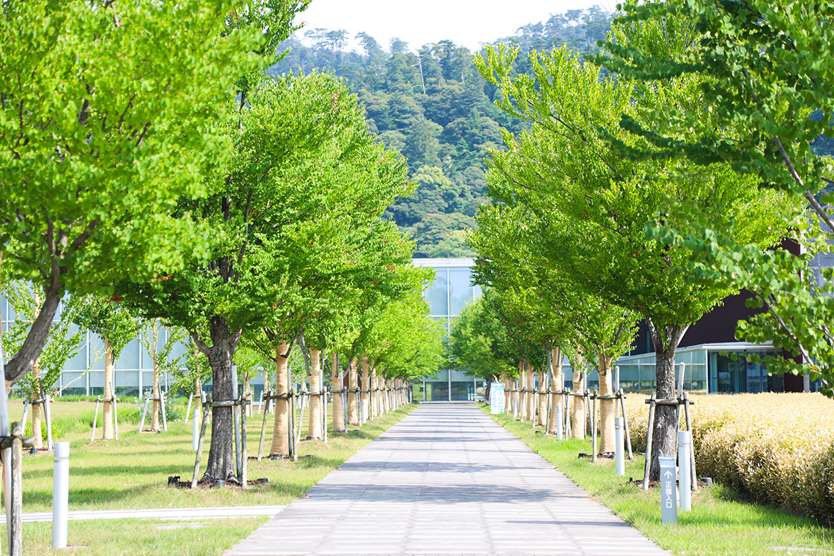 島根県立古代出雲歴史博物館